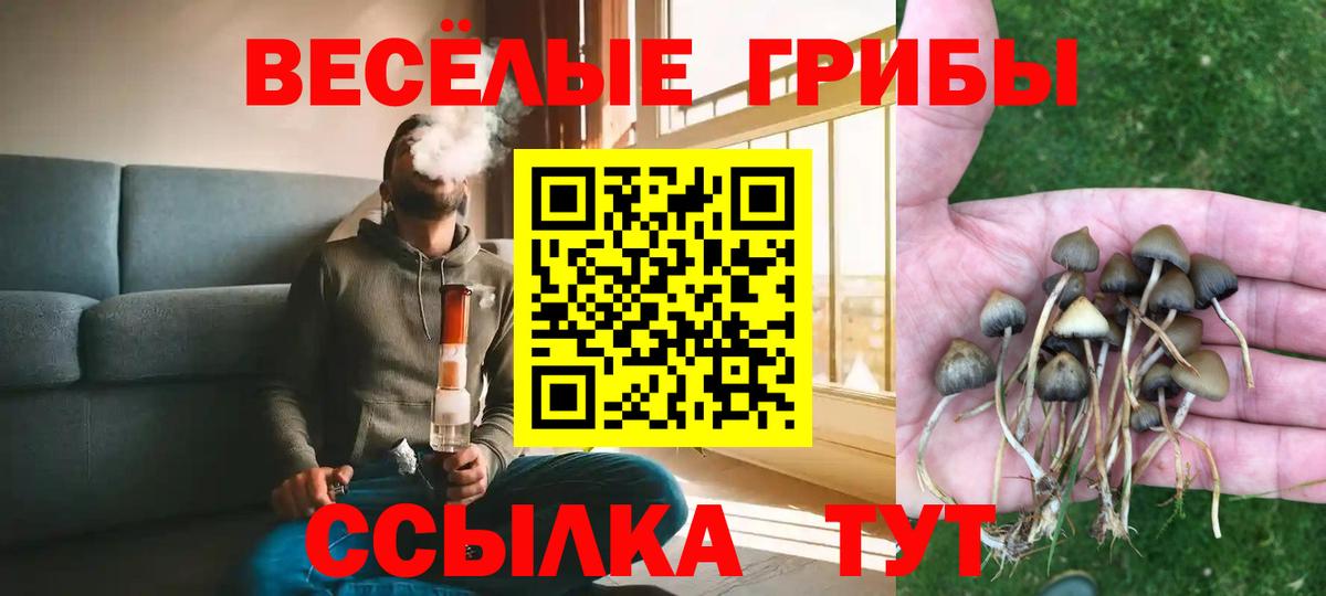 МЕФ Сургут